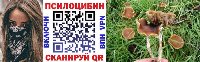 наркотики  Пудож  Галлюциногенные грибы GOLDEN TEACHER 